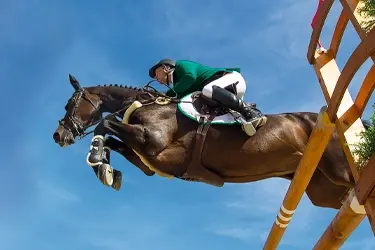 PrimeVal Paard